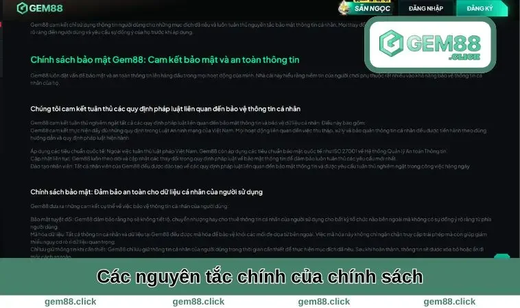 Các nguyên tắc của chính sách
